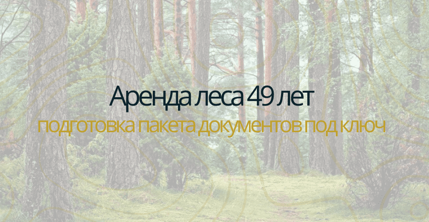Аренда леса на 49 лет в Атнинском районе